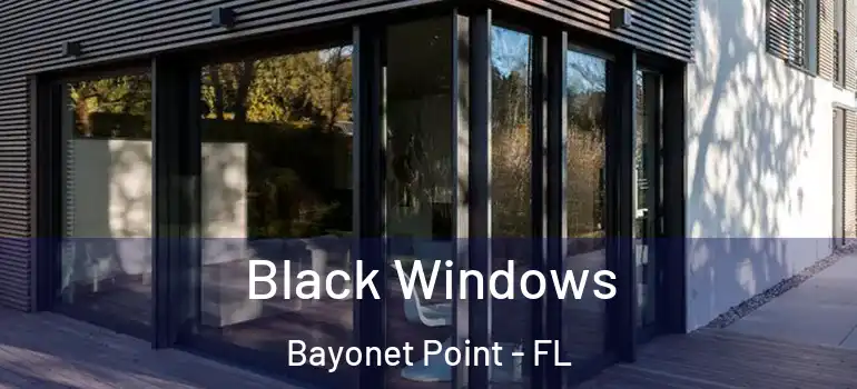  Black Windows Bayonet Point - FL