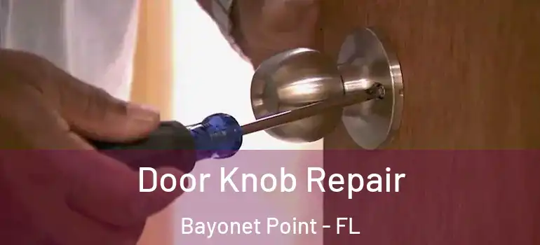  Door Knob Repair Bayonet Point - FL