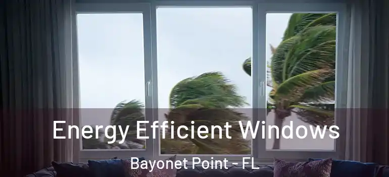  Energy Efficient Windows Bayonet Point - FL