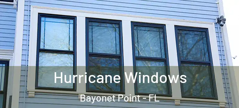  Hurricane Windows Bayonet Point - FL