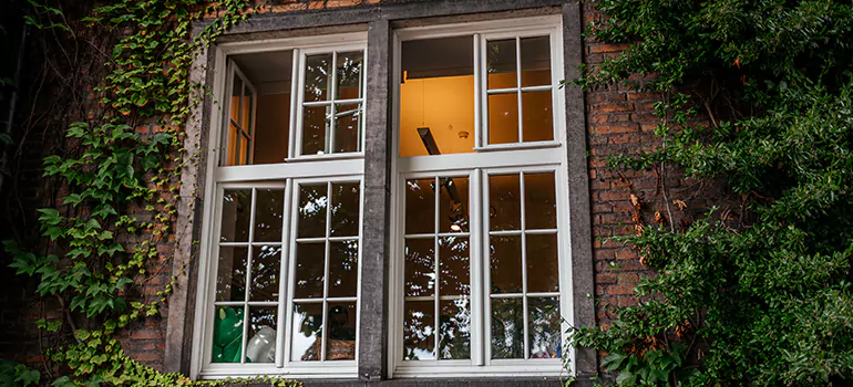 Energy Efficient Wood Windows in Bayonet Point, FL