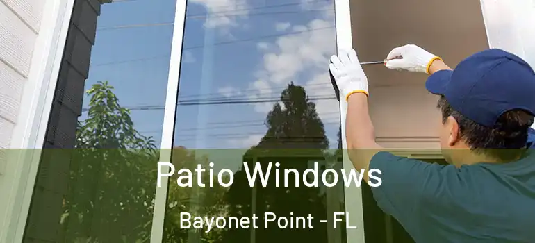  Patio Windows Bayonet Point - FL