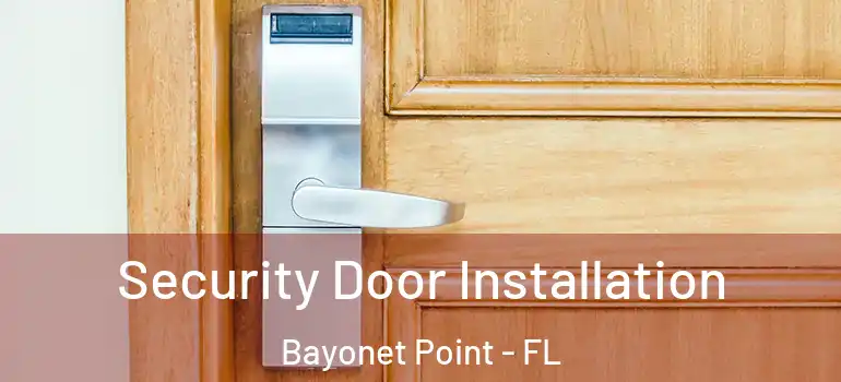  Security Door Installation Bayonet Point - FL