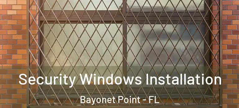  Security Windows Installation Bayonet Point - FL