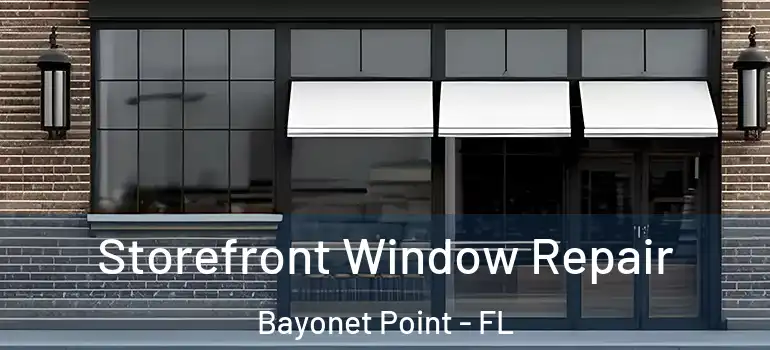  Storefront Window Repair Bayonet Point - FL