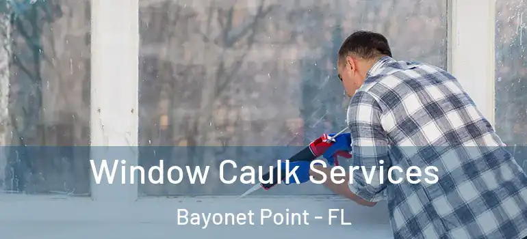  Window Caulk Services Bayonet Point - FL