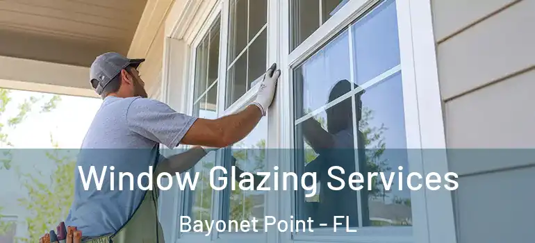  Window Glazing Services Bayonet Point - FL