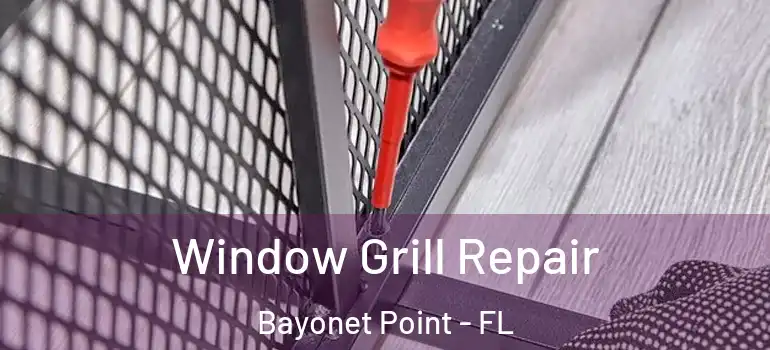  Window Grill Repair Bayonet Point - FL