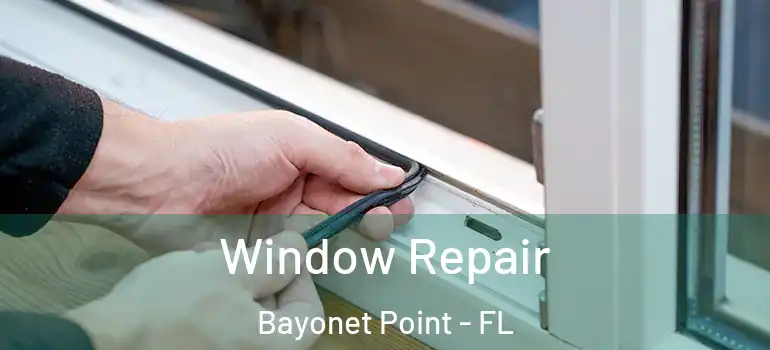  Window Repair Bayonet Point - FL