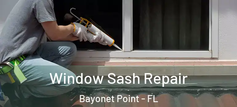  Window Sash Repair Bayonet Point - FL
