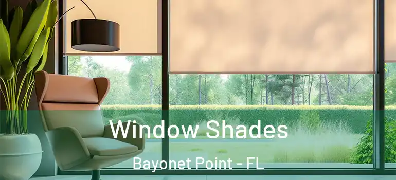  Window Shades Bayonet Point - FL