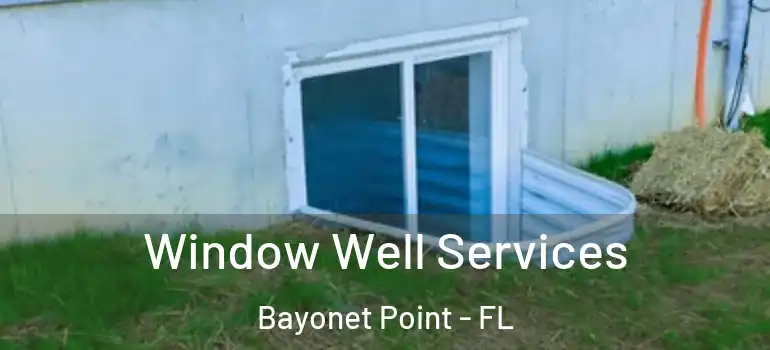  Window Well Services Bayonet Point - FL